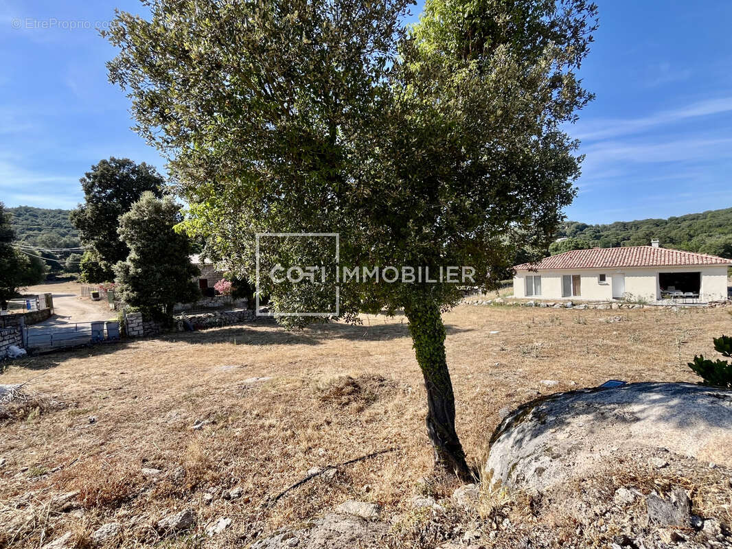 Sartene - maison 4 pieces - 114.61m2 - photo 14