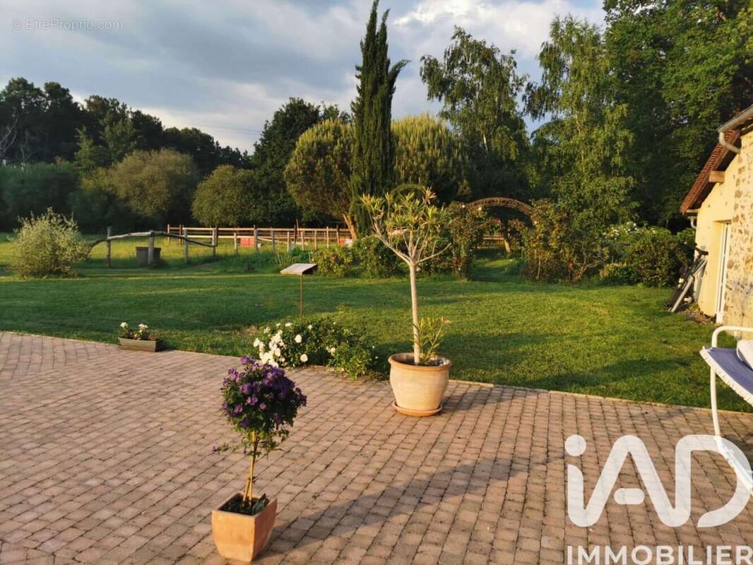 Photo 3 - Maison à MONCE-EN-BELIN