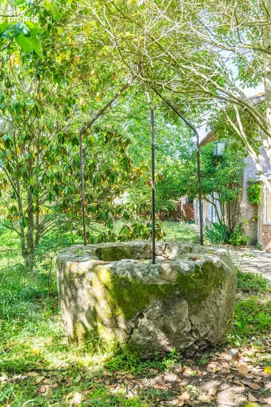 Mas Provençal à rénover - photo 5
