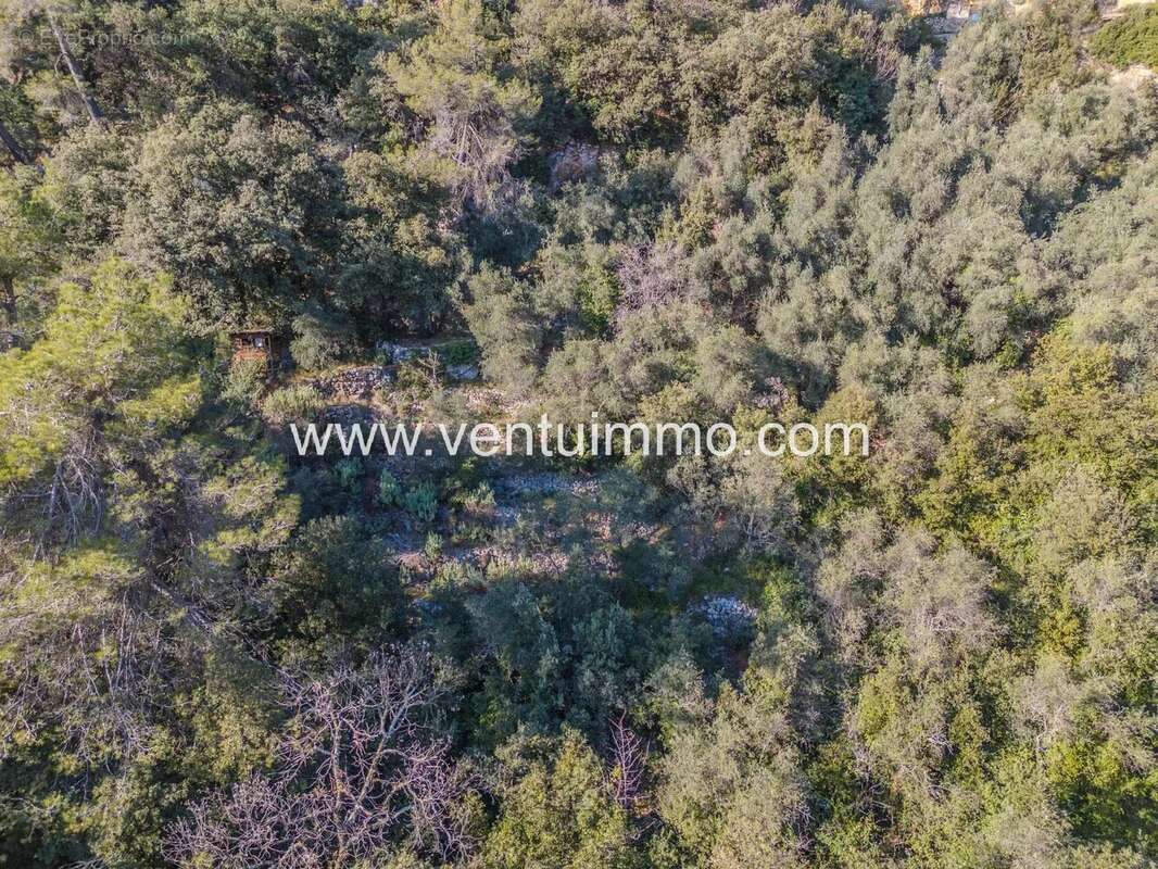 Terrain à SAINT-CEZAIRE-SUR-SIAGNE