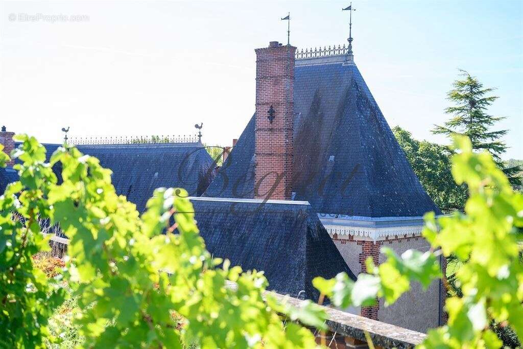 Vernou sur Brenne, 37210, Maison 340 m2, Maison de gardien et 2 gites 160 m2, 8 chambres, piscine, p - photo 22