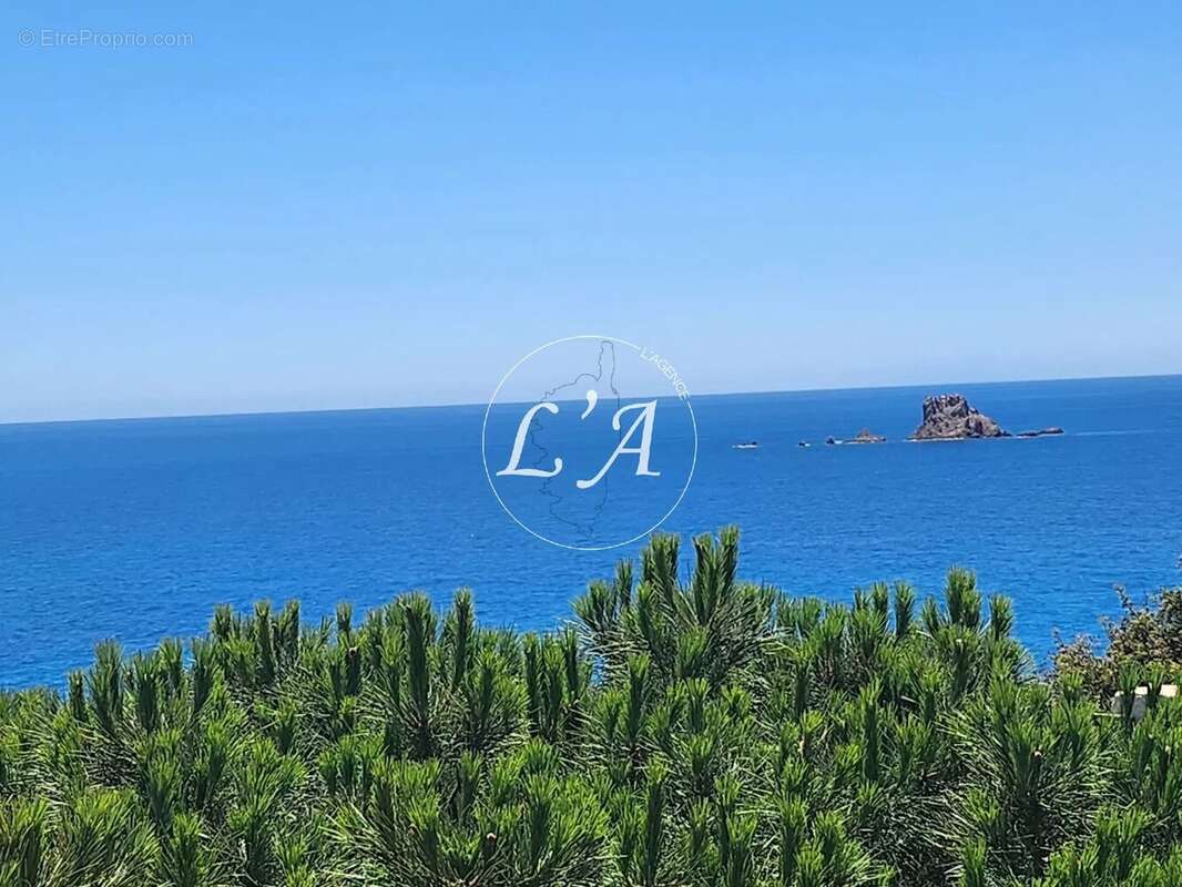 Maison à PORTO-VECCHIO