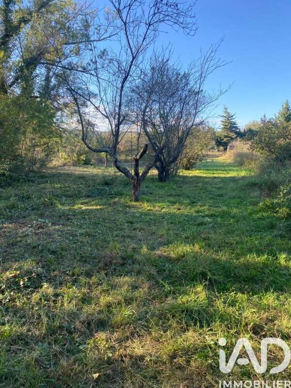 Photo 2 - Terrain à SAINT-JEAN-PLA-DE-CORTS