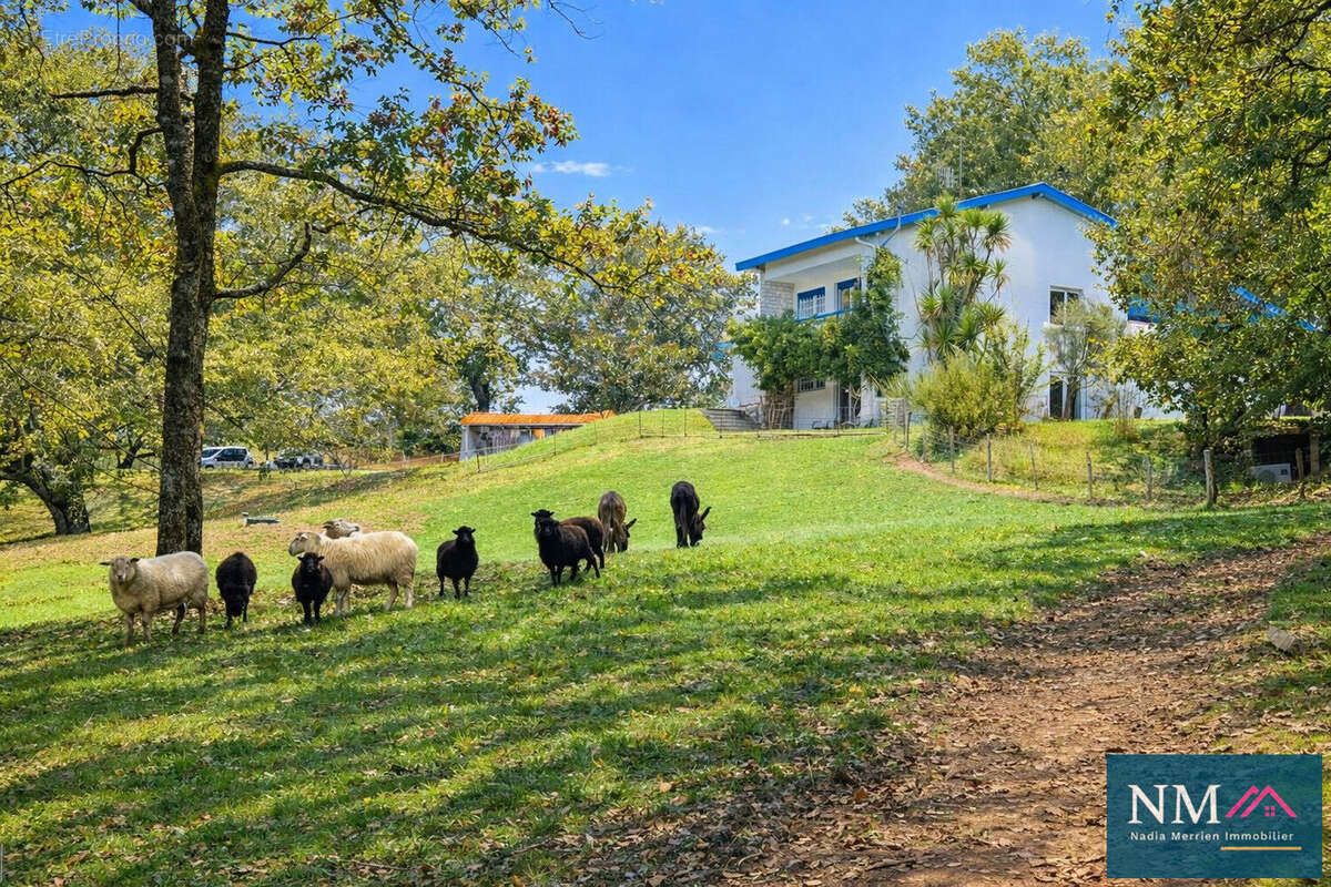 Domaine sur plus de 2 hectares de parc arboré - photo 4