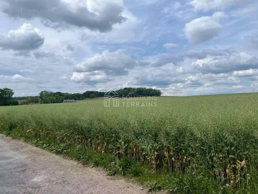 Terrain à MEZY-SUR-SEINE