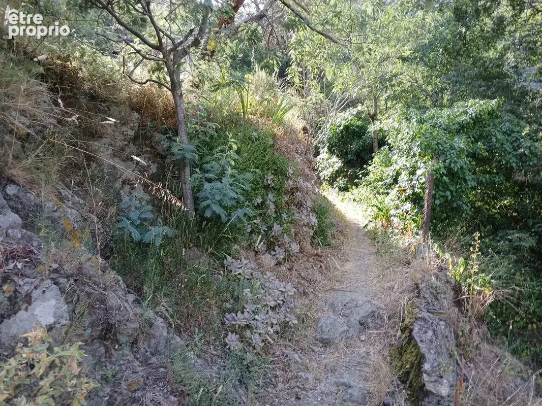 Mas en pierre à Reynes - photo 13