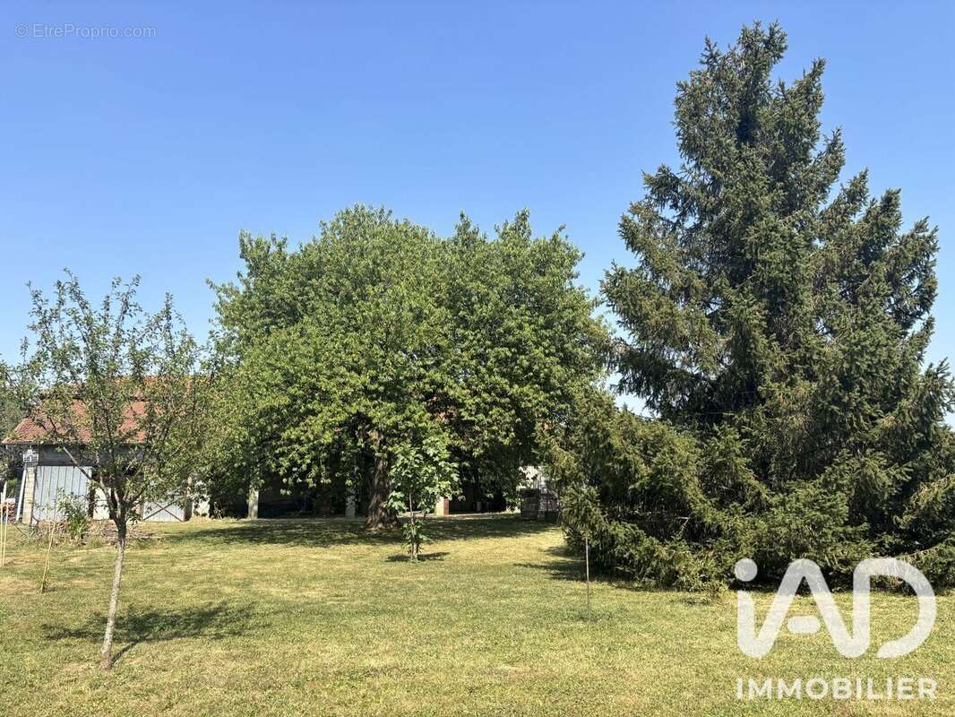 Maison 152 m² à Martres-De-Riviere  - photo 4