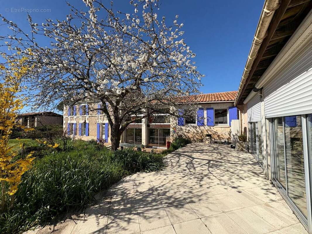 Maison 276 m² à Pessines  - photo 4
