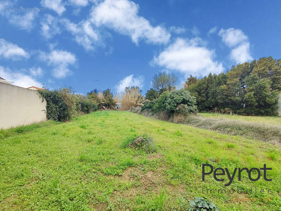 Terrain à PEZILLA-LA-RIVIERE