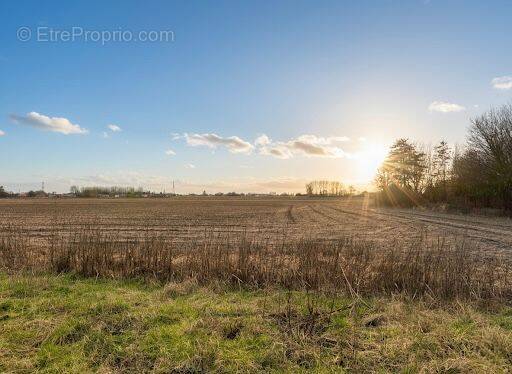 Terrain à BERSEE