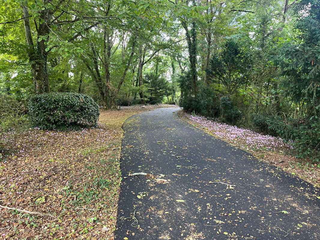 Maison à SAINT-BENOIT