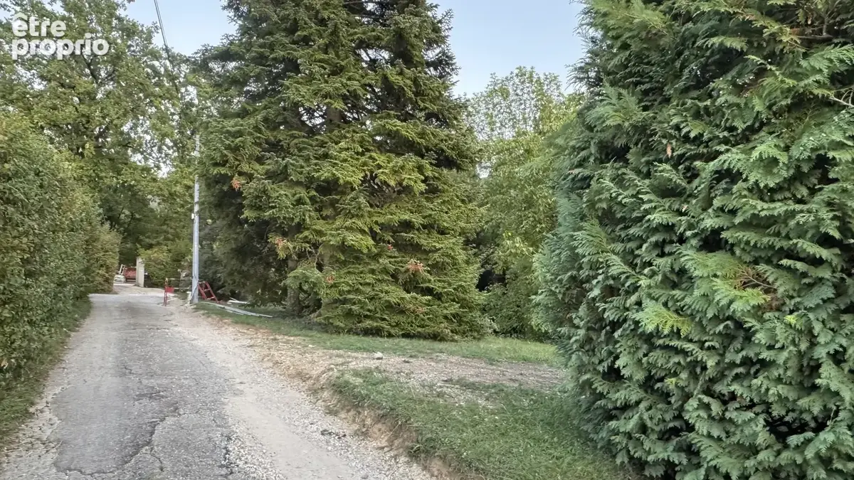 Pugny-Châtenod - Très beau terrain de 1764m2 avec parcelle constructible plate de 640m2 - photo 5