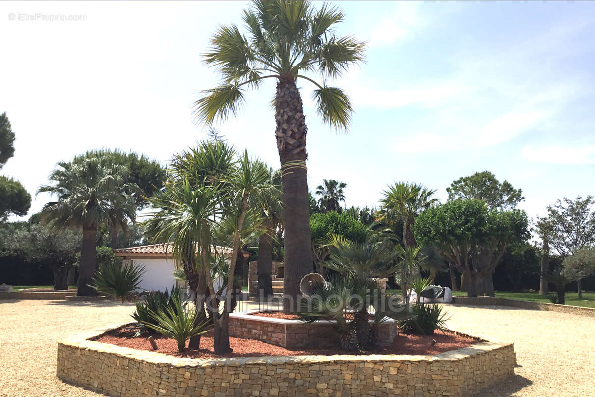 Maison à MARSILLARGUES