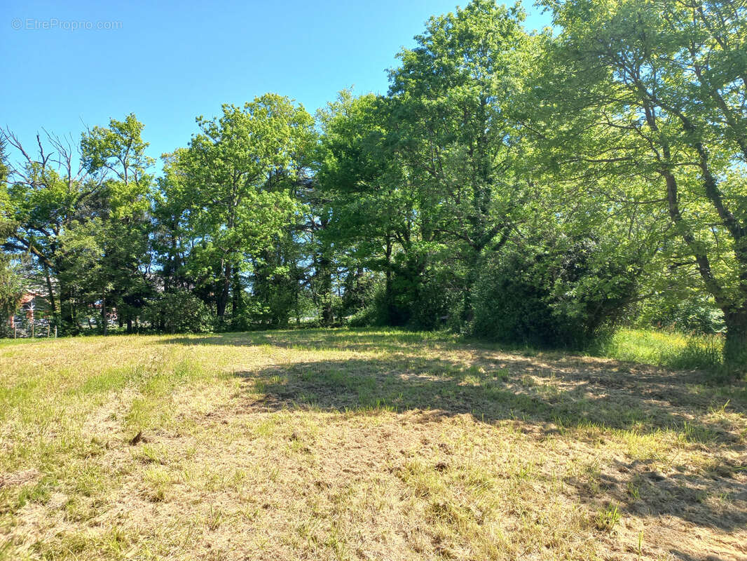 Terrain à vendre 29000 € à Trie-Sur-Baïse - photo 2