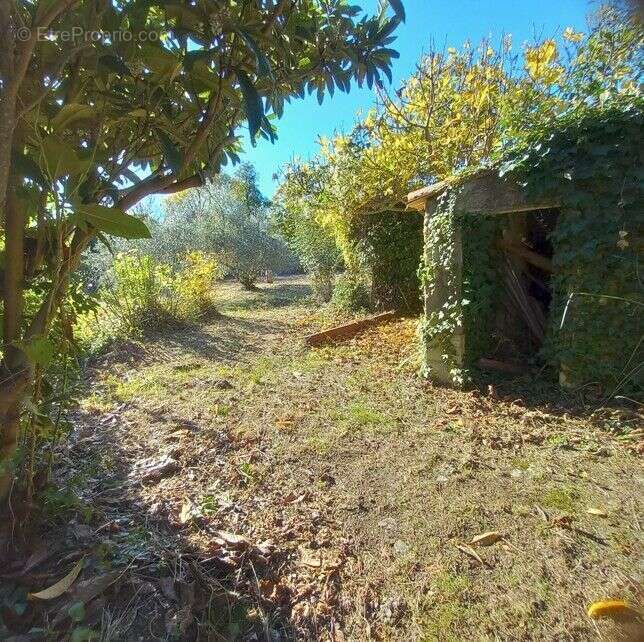 Maison à SAINT-MATHIEU-DE-TREVIERS
