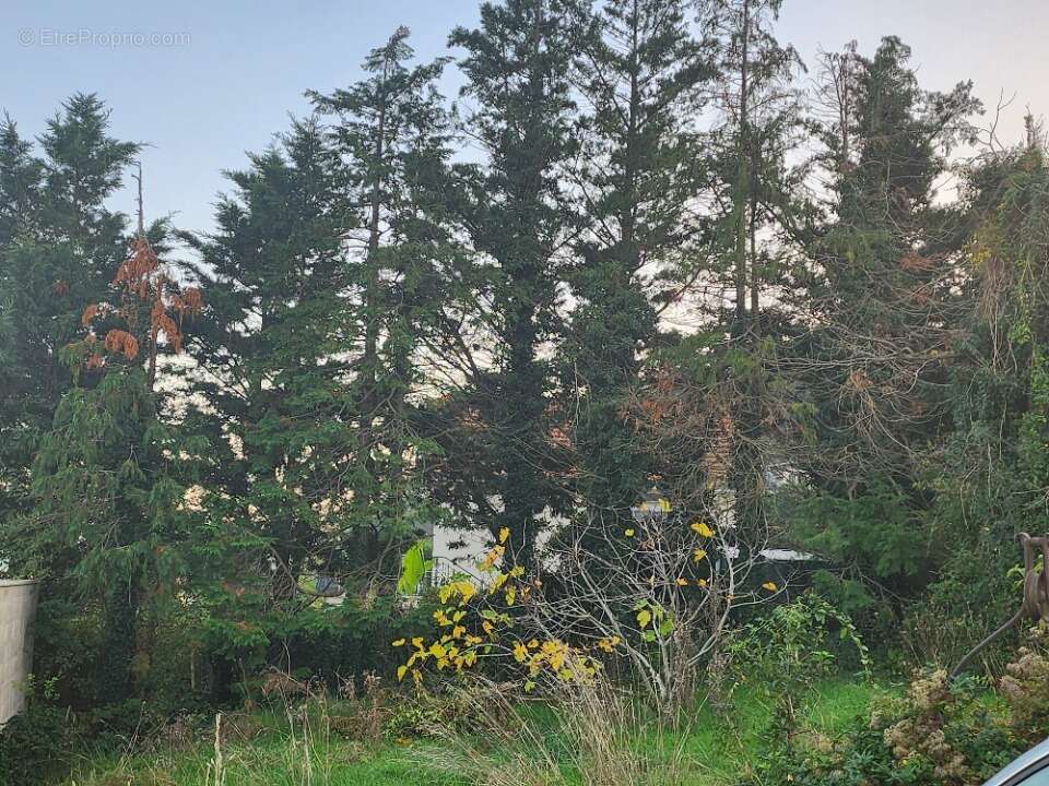 Terrain à GIVORS