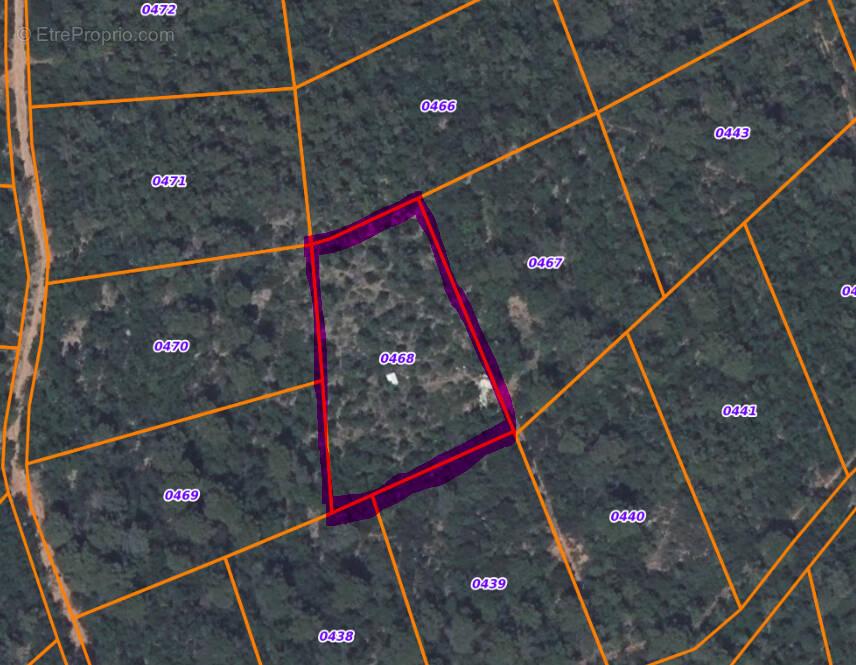 Terrain à NANS-LES-PINS