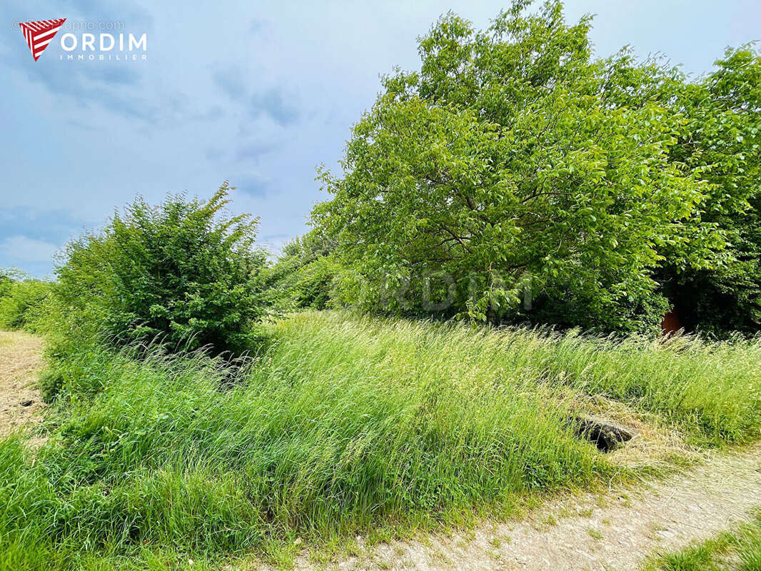 Maison à SAINT-SAUVEUR-EN-PUISAYE