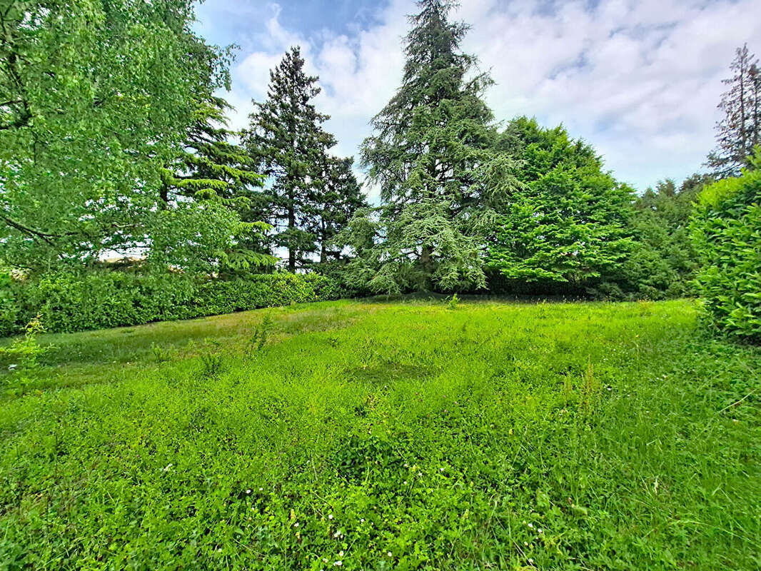 Terrain Charly - photo 3