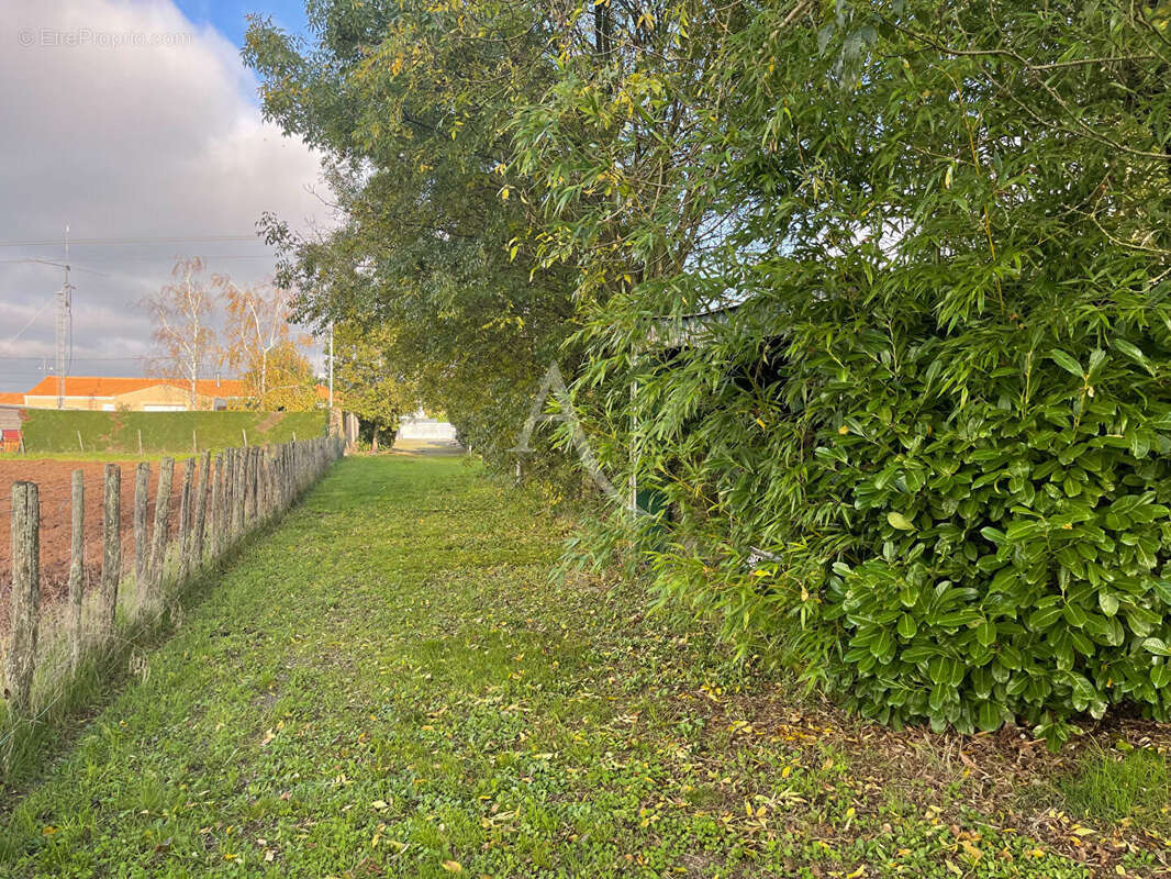 Maison à FONTENAY-LE-COMTE