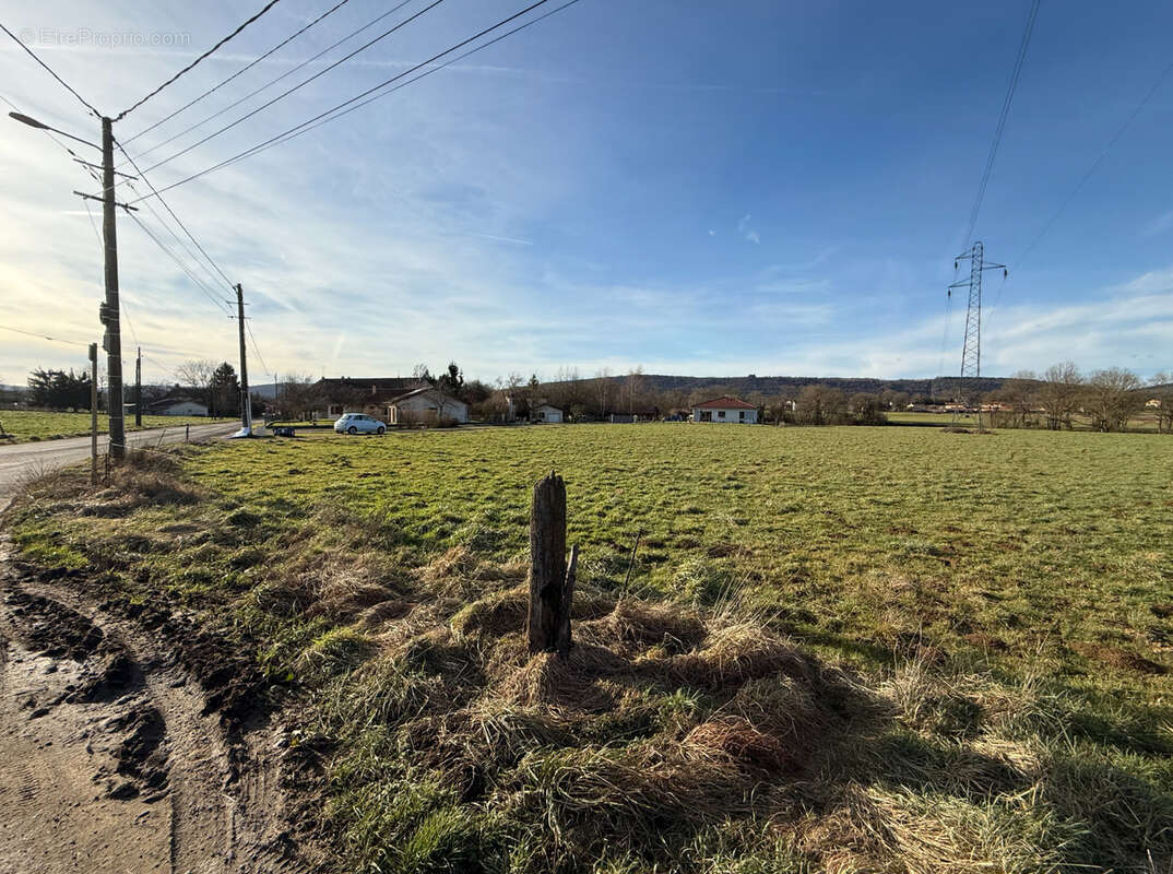 Terrain à SIMANDRE-SUR-SURAN
