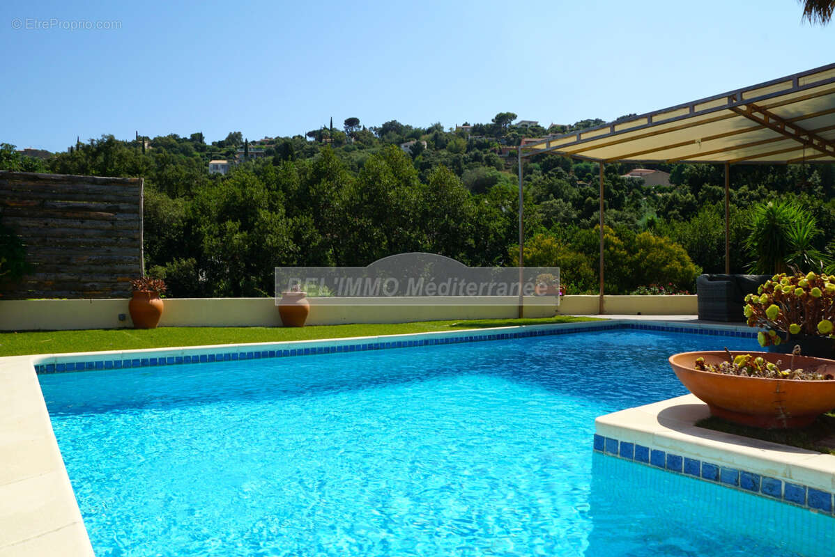 Villa 3 chambres, avec piscine et dépendances - photo 2