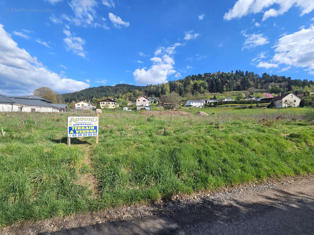 20260417_164946 - Terrain à DOMMARTIN-LES-REMIREMONT