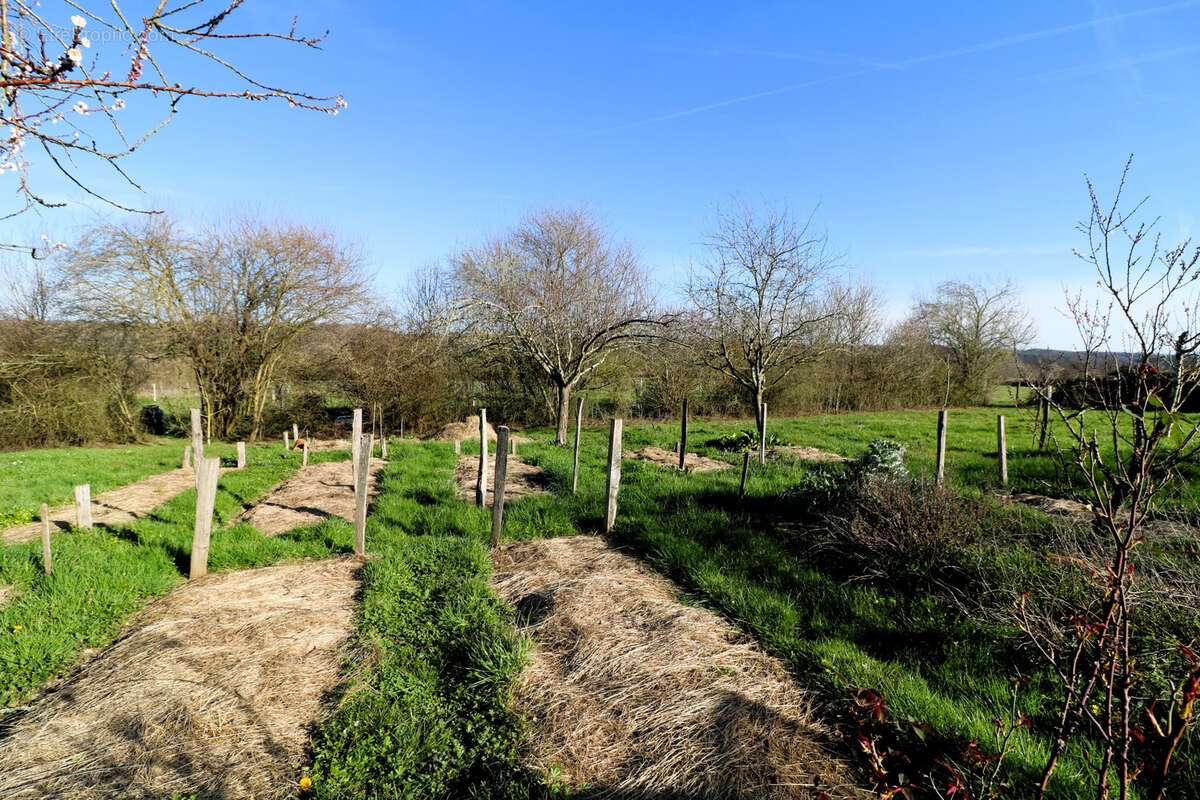 Propriété de 2.5ha avec Maison rénovée, dépendances, Vue Pyrénées - photo 6