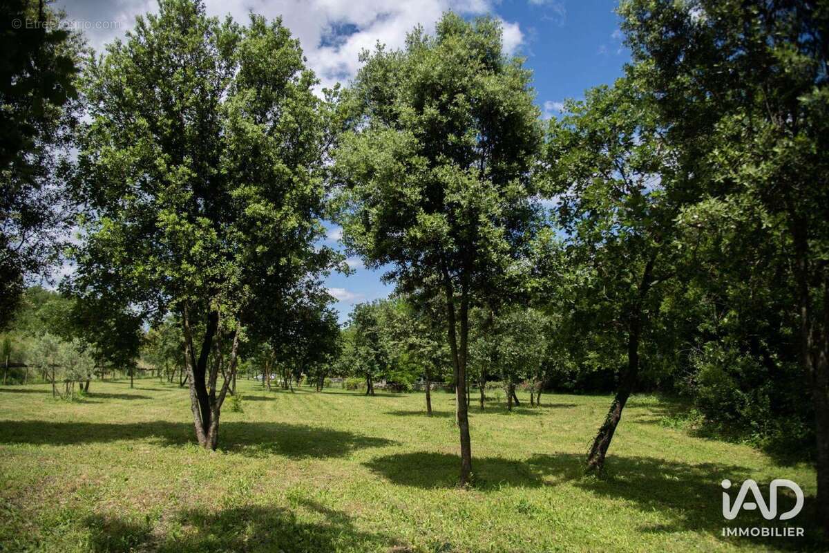 Photo 6 - Maison à SABRAN