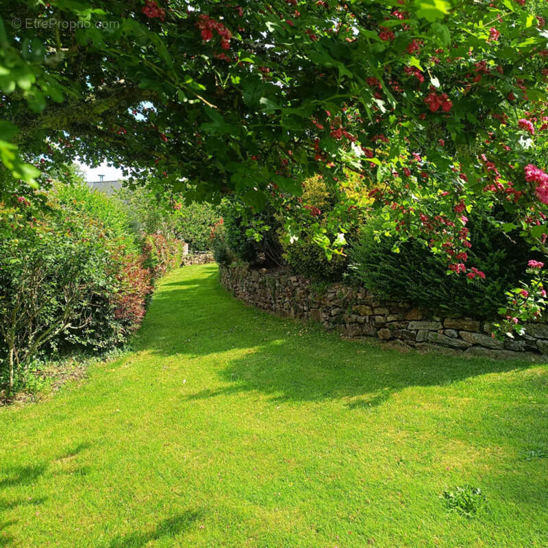 Maison à SAINT-NOLFF