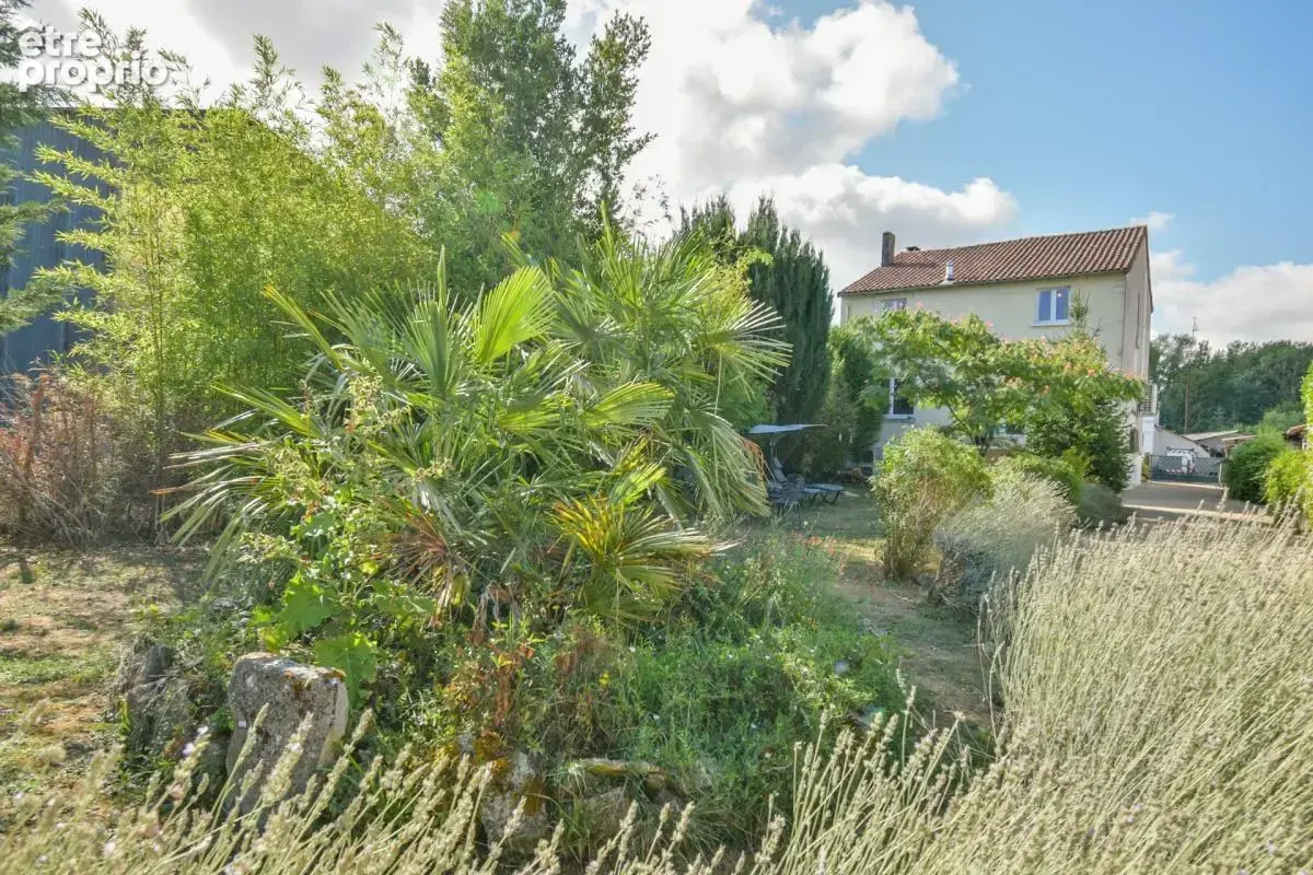 Maison rénovée de 4 chambres avec chatterie professionnelle - photo 4