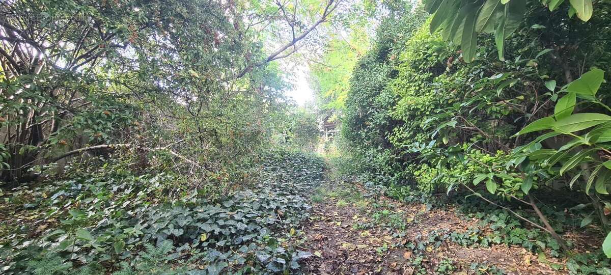 Maison à ARGENTEUIL