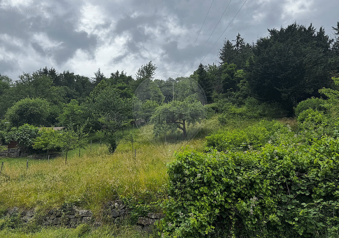 Terrain à LAUTENBACH