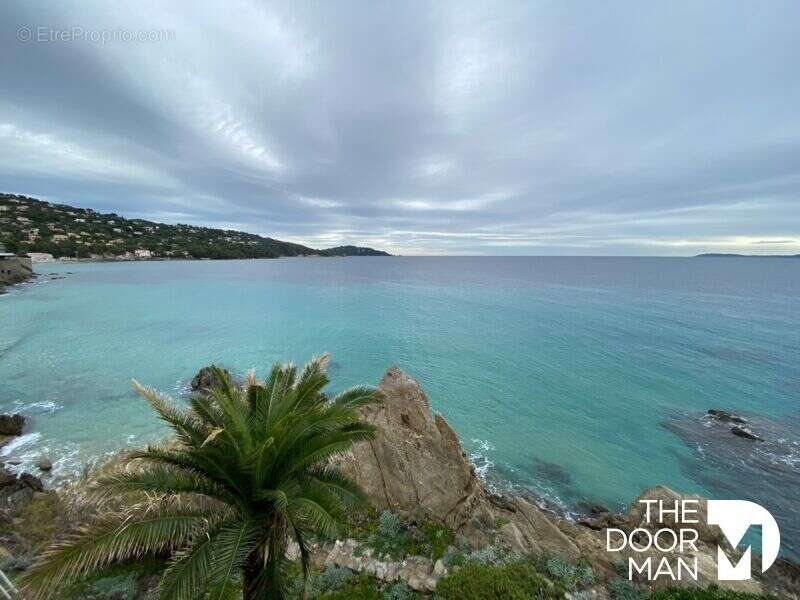 Commerce à LE LAVANDOU