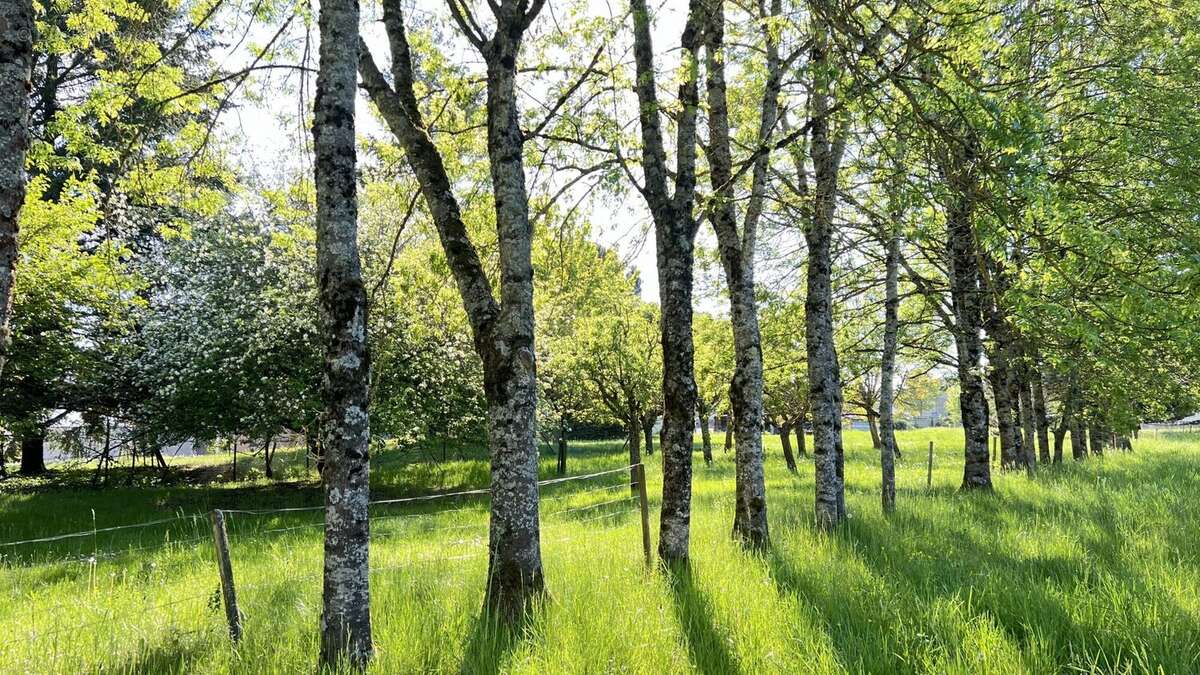 Maison à LADOIX-SERRIGNY