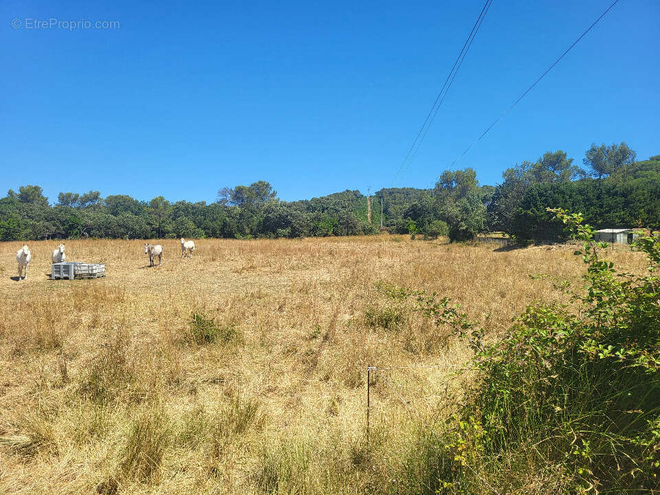 Terrain à ORTHOUX-SERIGNAC-QUILHAN