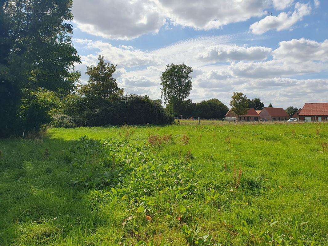 Terrain à BERSEE