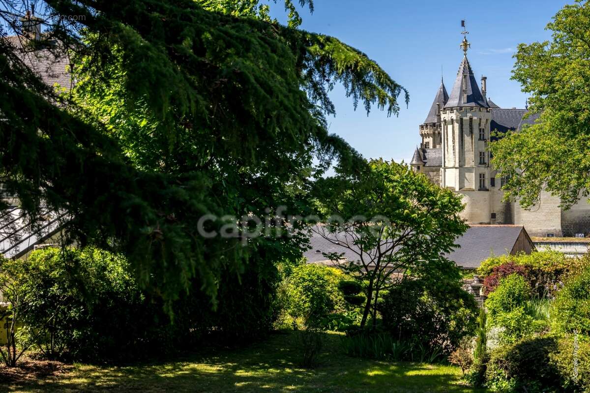 Propriete d'exception à vendre à SAUMUR (49400)  Panorama d'exception sur le château et la Loire - 328m² - 2278m²-piscine - photo 22