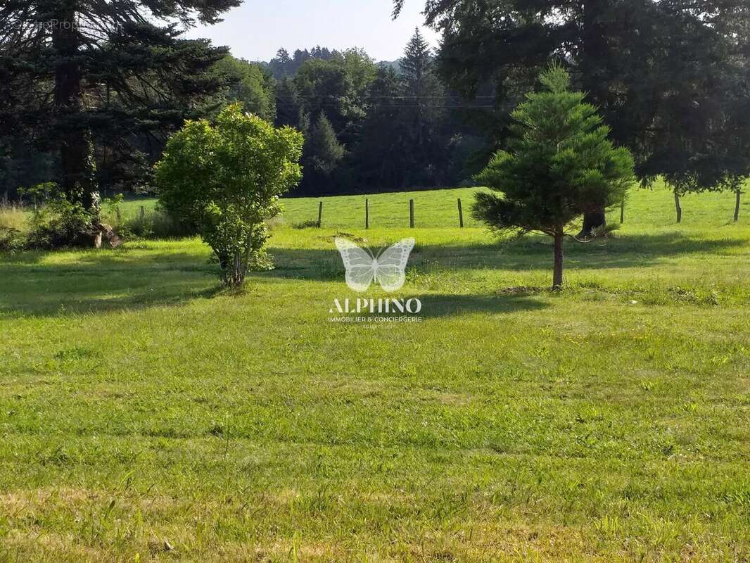 Terrain à SAINT-JUST-LE-MARTEL