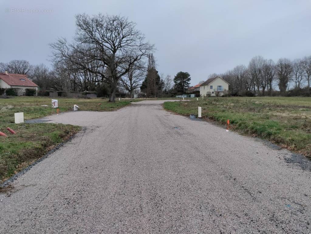 Terrain à BELLERIVE-SUR-ALLIER