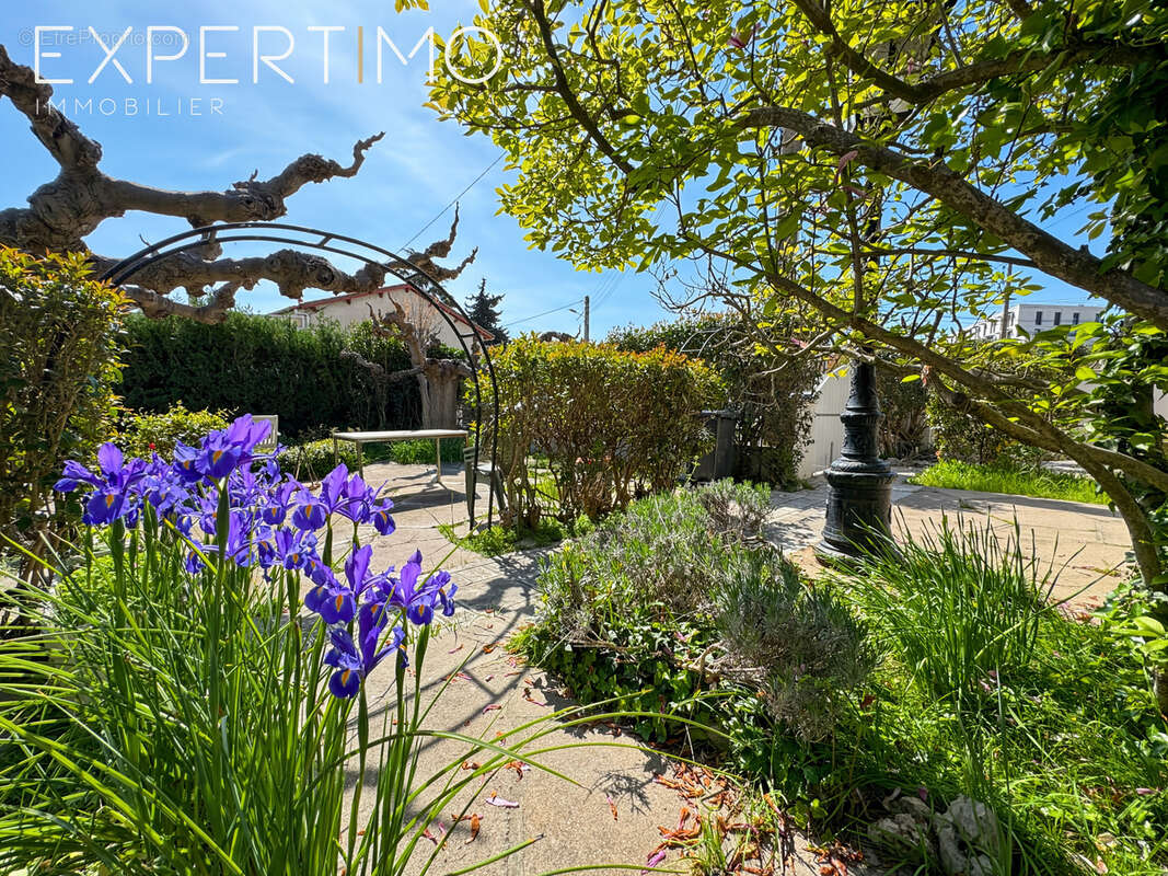 Maison à MONTPELLIER