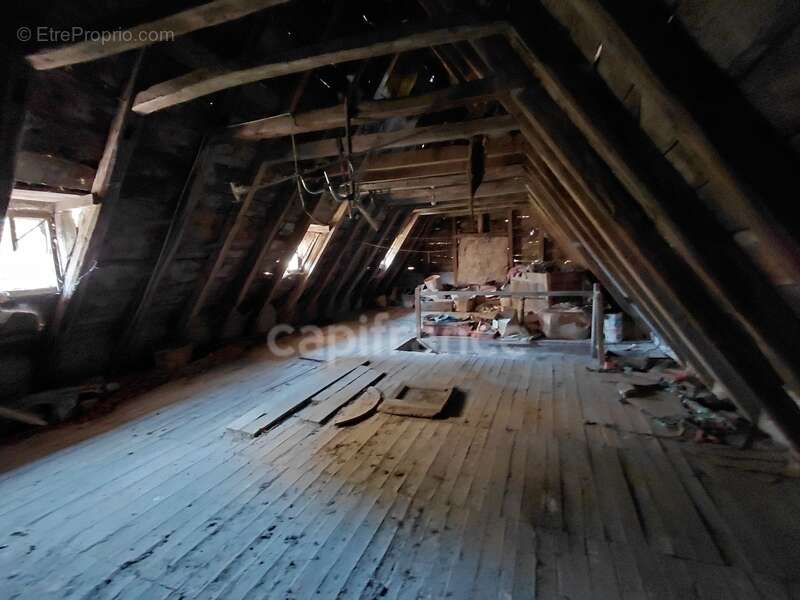Maison de Maître du XVIIIe siècle avec dépendances et terrain de plus de 3 hectares – Puycapel (15) - photo 16