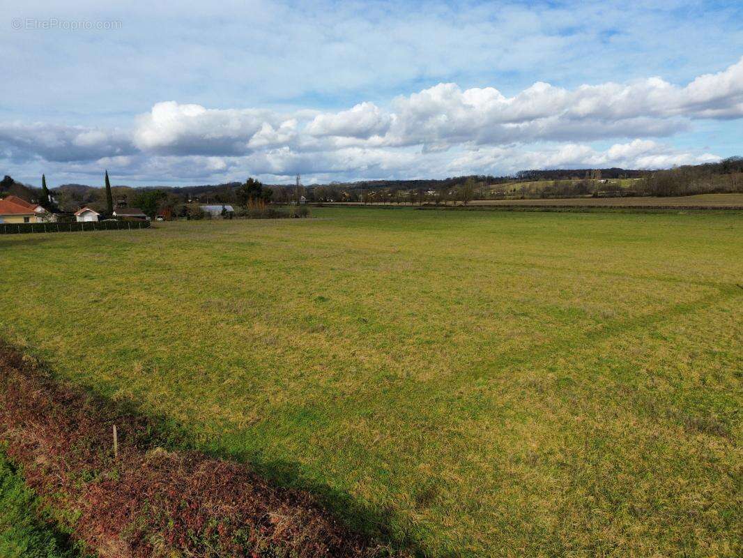 Terrain à SAUVETERRE-DE-BEARN