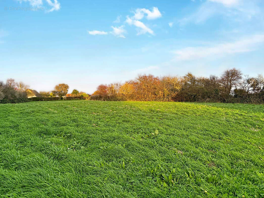 Maison à LES MOITIERS-D&#039;ALLONNE