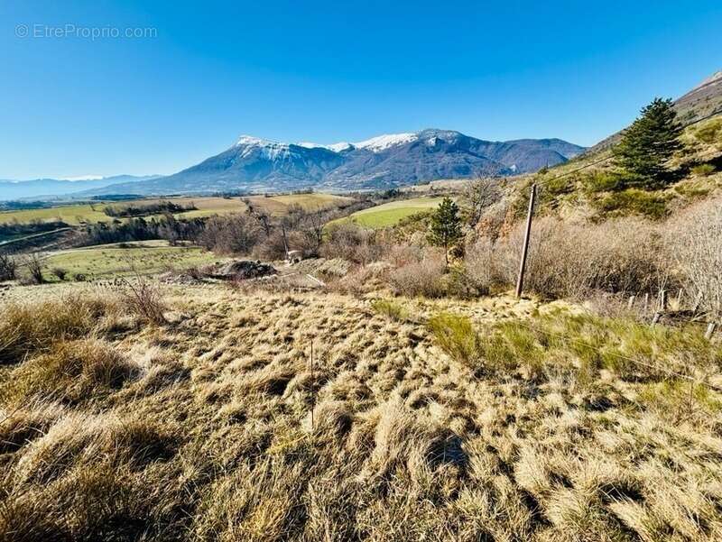 Terrain à vendre de 2 423 m² ! - photo 2
