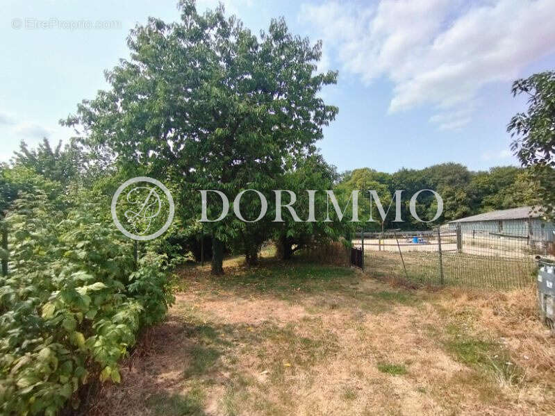 RARE Propriété équestre à fort potentiel avec pâture et carrière ! - photo 19