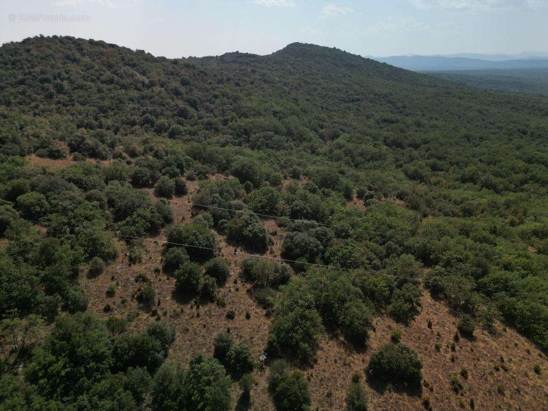 Terrain À Vendre - photo 6