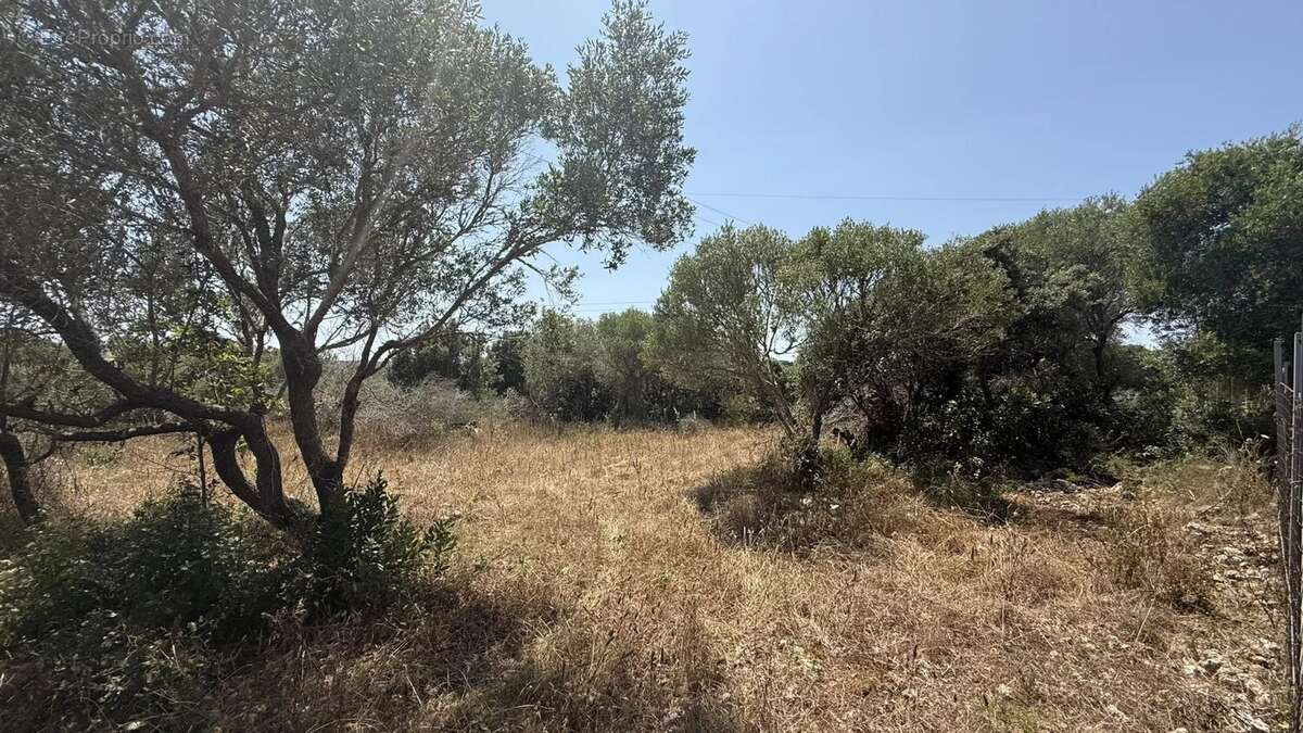 Terrain à BONIFACIO