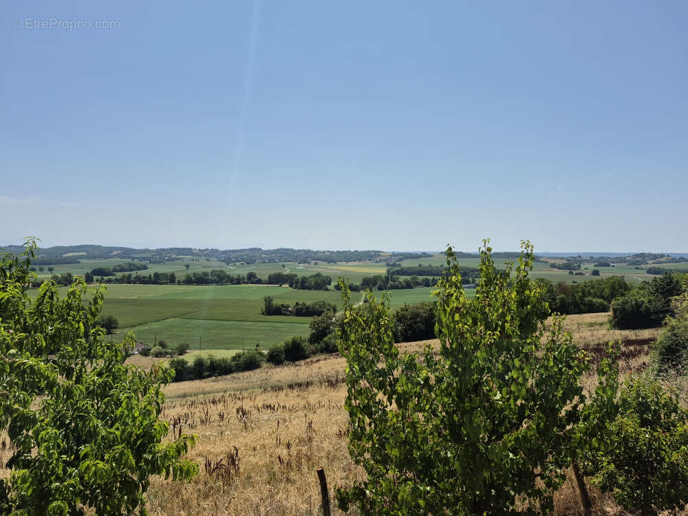 A Saint-Justin, Maison de 95m2 de plain-pied avec vue panoramique des Pyrénées - photo 19