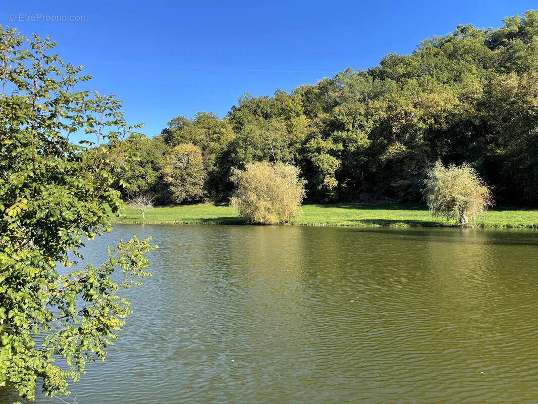 Terrain à VILLAMBLARD